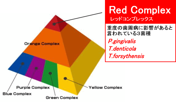 Red Complex
